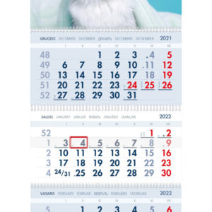Trijų dalių sieninis kalendorius SUNKUS RYTAS