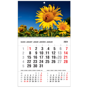 2024 metų kalendorius su saulėgrąžų nuotrauka